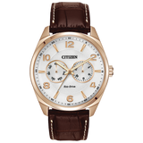 Citizen Eco-Drive Strap Day/Date
