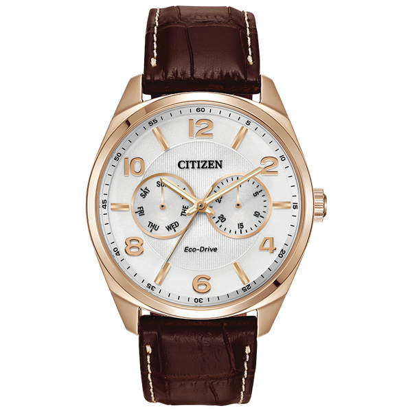 Citizen Eco-Drive Strap Day/Date