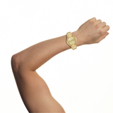 Paradigm- Men's Gold-Tone Eco-Drive